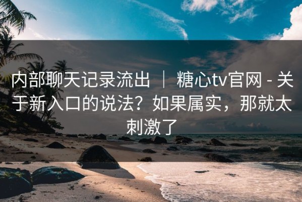 内部聊天记录流出 ｜ 糖心tv官网 - 关于新入口的说法？如果属实，那就太刺激了