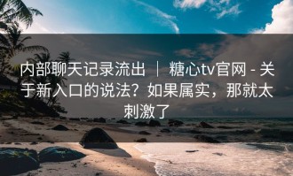 内部聊天记录流出 ｜ 糖心tv官网 - 关于新入口的说法？如果属实，那就太刺激了