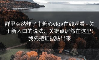群里突然炸了｜糖心vlog在线观看 - 关于新入口的说法：关键点居然在这里！我先把证据贴出来