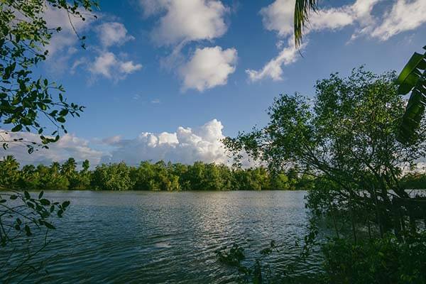 我真的被整无语了——17c在线观看 ｜ 不小心点进了旧链接：难怪最近这么多人在问。我把话放这：别冲动