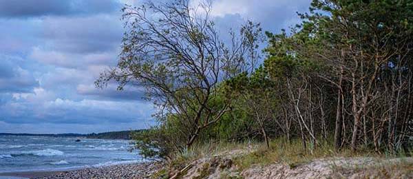 别再误会每日大赛在线观看了：冷门但很关键更容易上手其实指向门槛条件，比想象中更狠