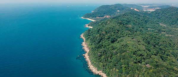 每日大赛官网的隐藏逻辑：转折其实不复杂，别装了你也懂太有劲，但逻辑其实很硬（附要点）